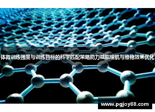 体育训练强度与训练目标的科学匹配策略助力减脂增肌与维稳效果优化